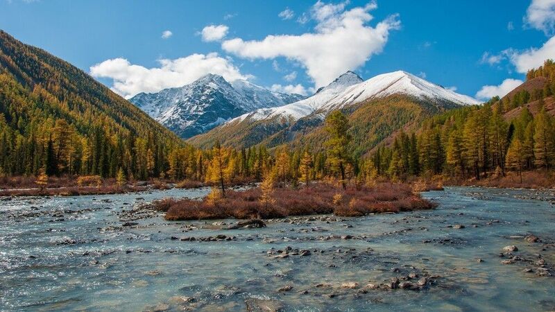 алтай, река, разлив, маашей, осень, лиственницы, горы, снег, остров, долина Долина реки Маашей фото превью