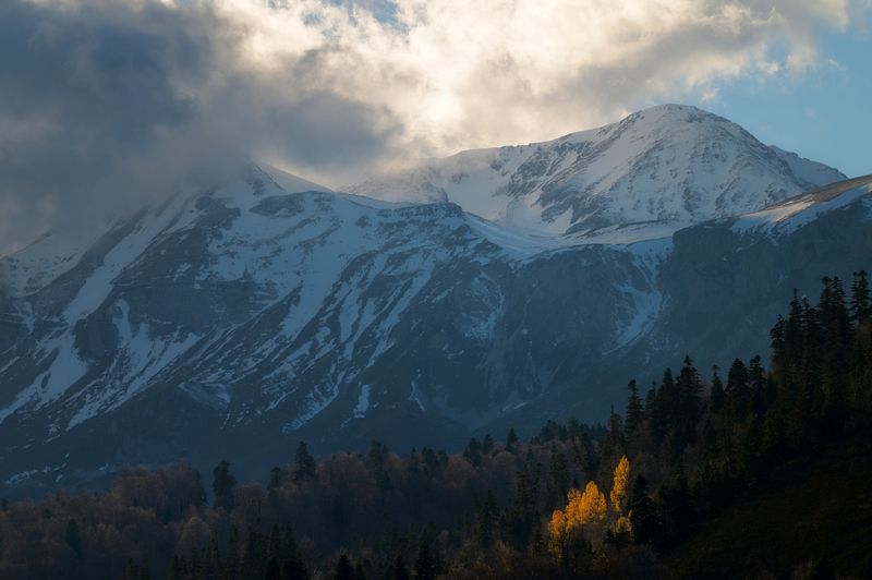 фото превью