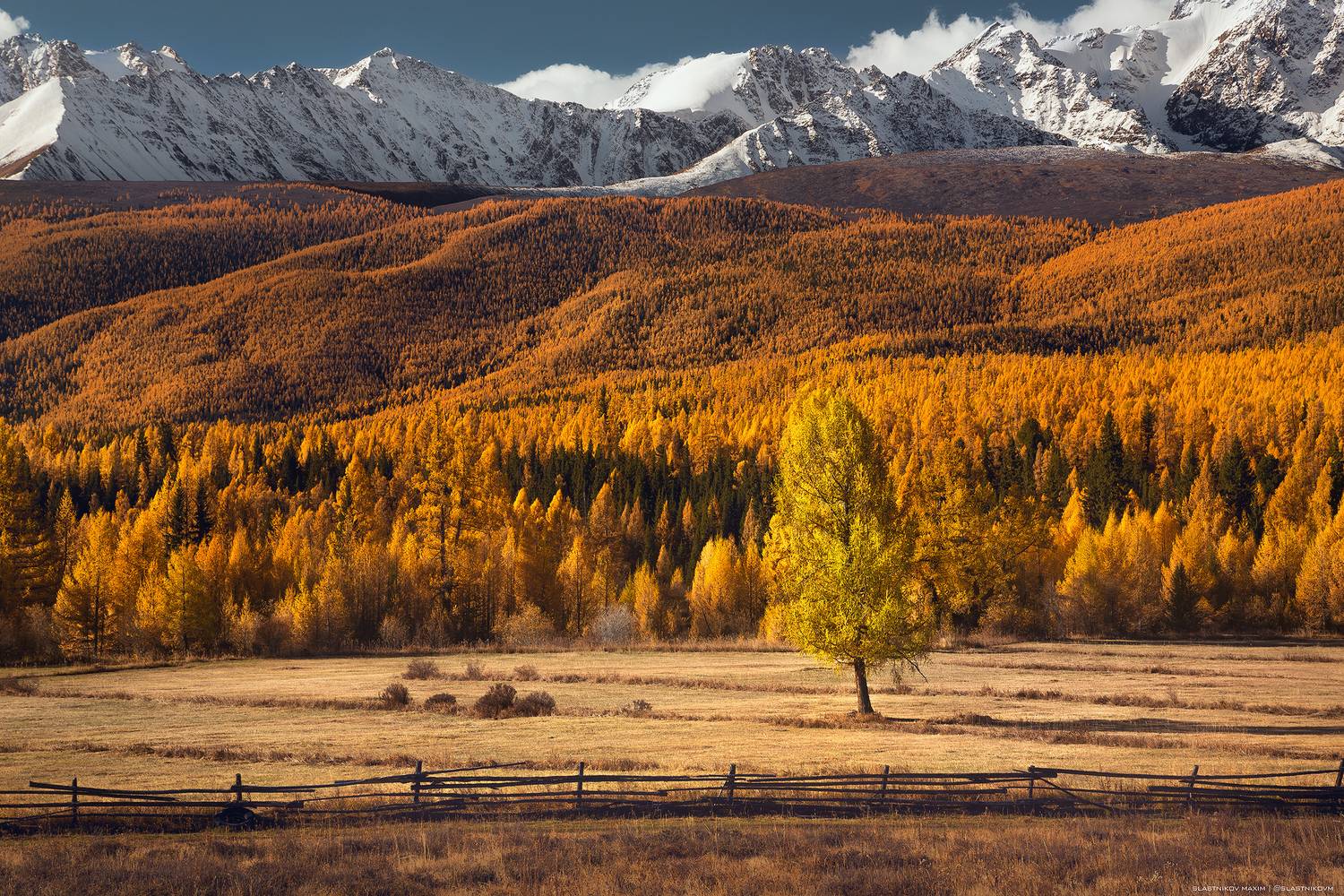 , Максим Сластников