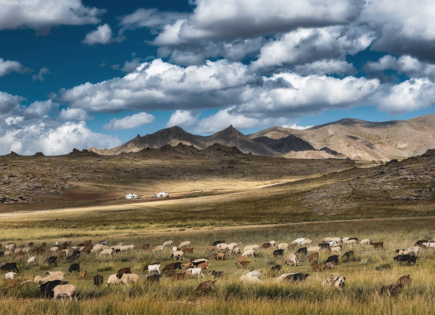монголия, юрты, горы, свет, облака, Максим Сухов