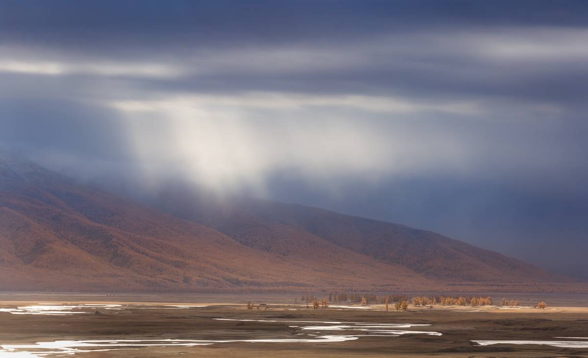 , Трофимов Алексей