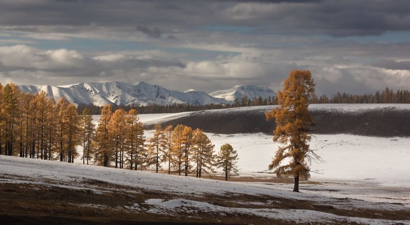 Первый снег фото превью