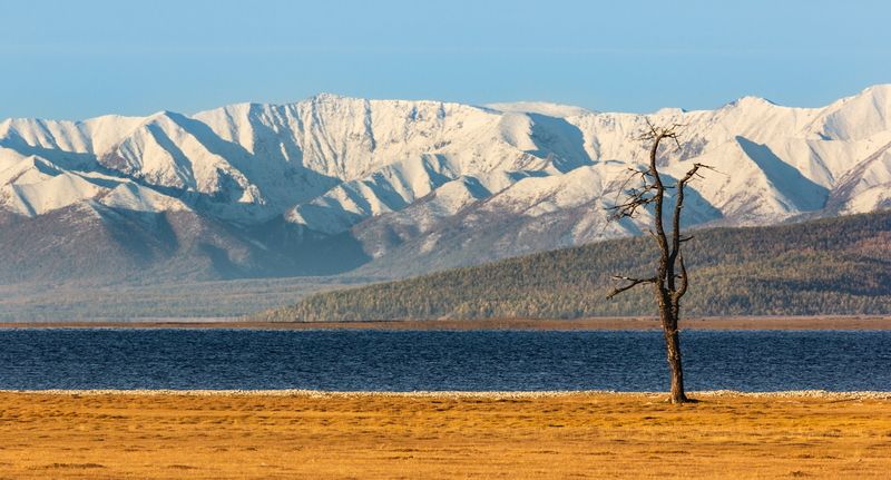 Палитра осени фото превью