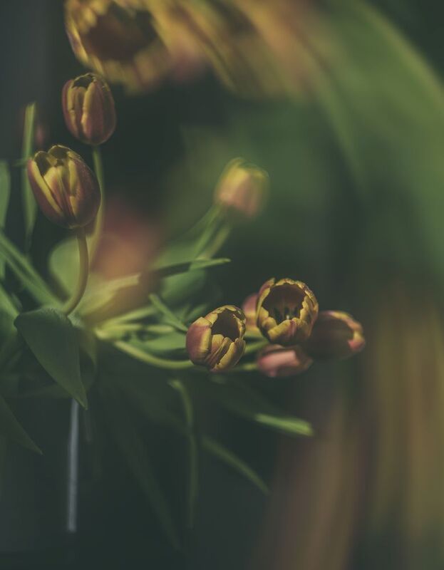 Ноябрьские фото превью