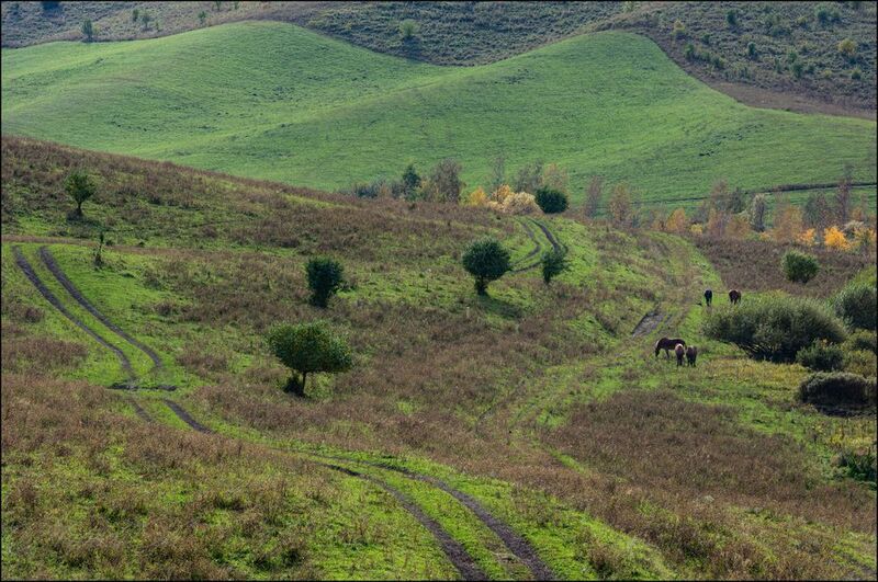 Осень на Алтае фото превью