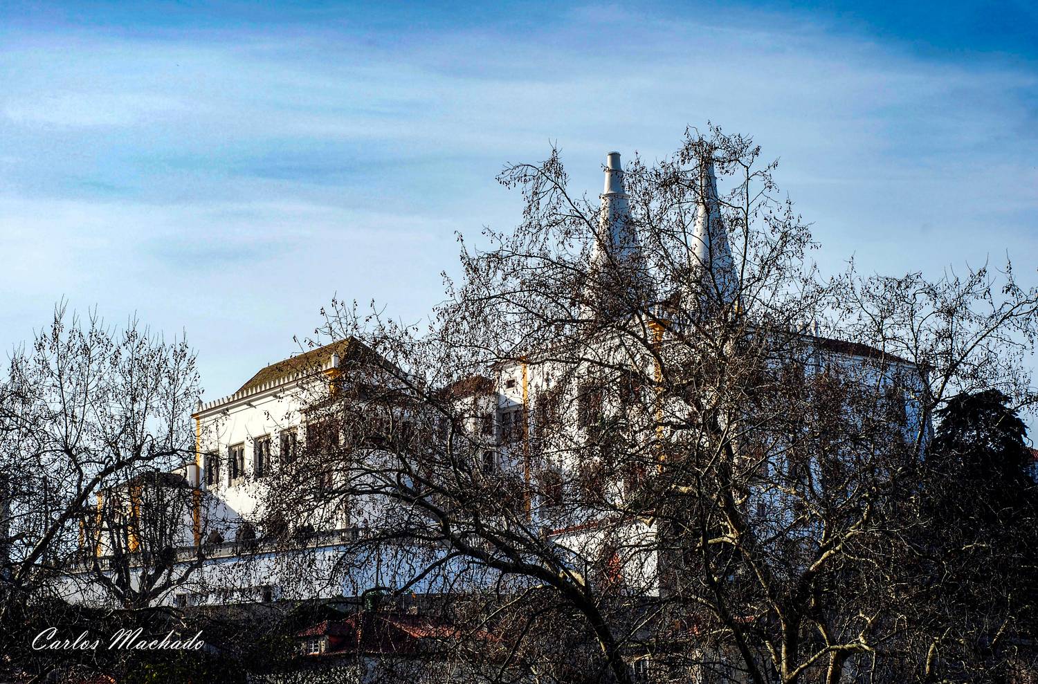 Nature, Palaces, Landscapes, Machado Carlos