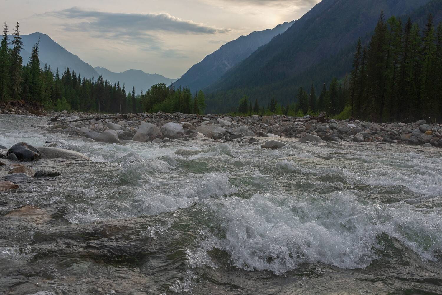 шумак июнь, Беляев Юрий
