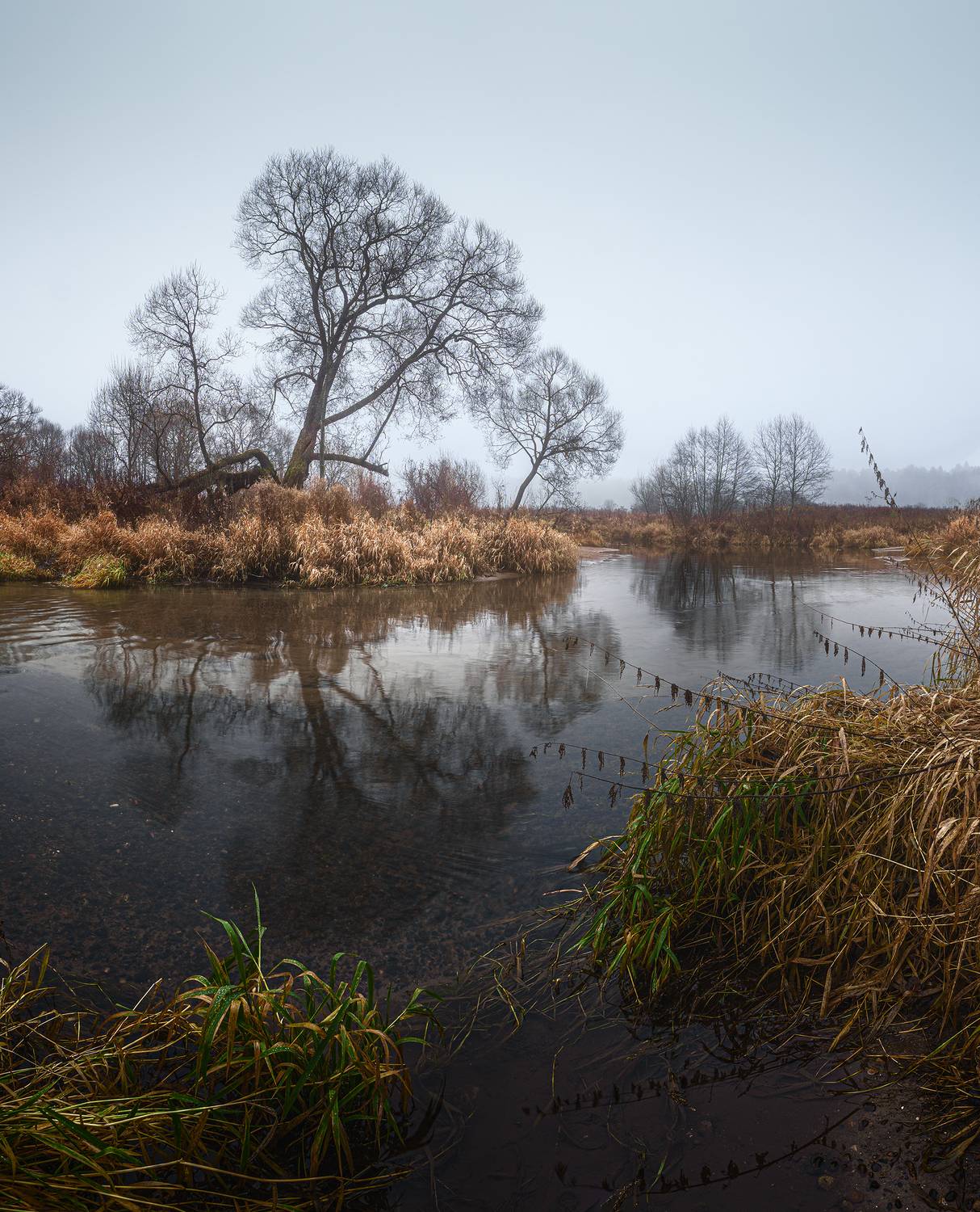 , Андреев Николай