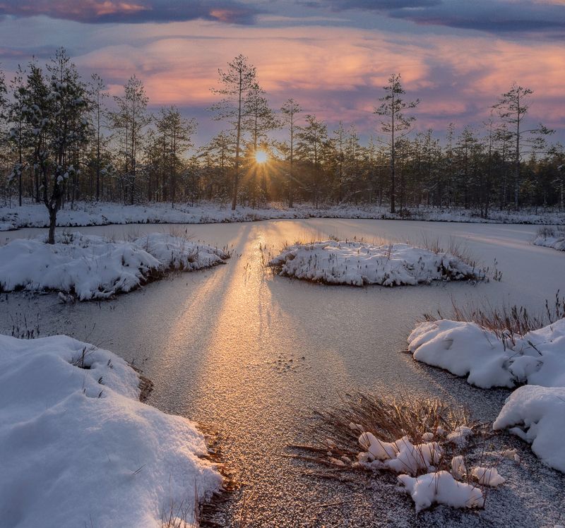болото, карелия, первый снег, утро, рассвет, фототур Утро на болоте фото превью