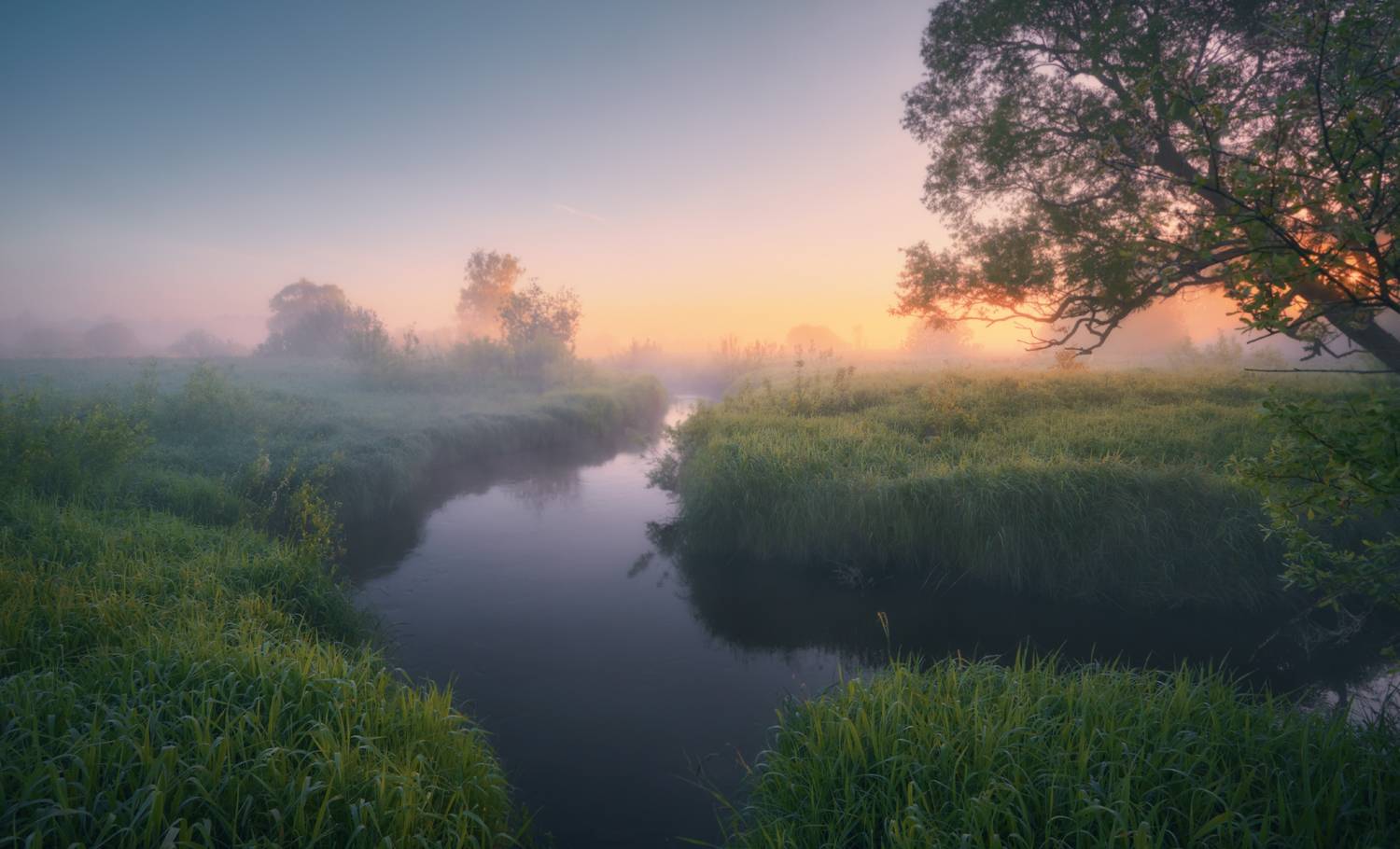 , Роман Лушпа