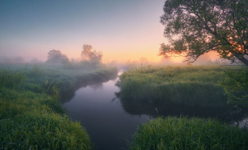 По росе ... фото превью