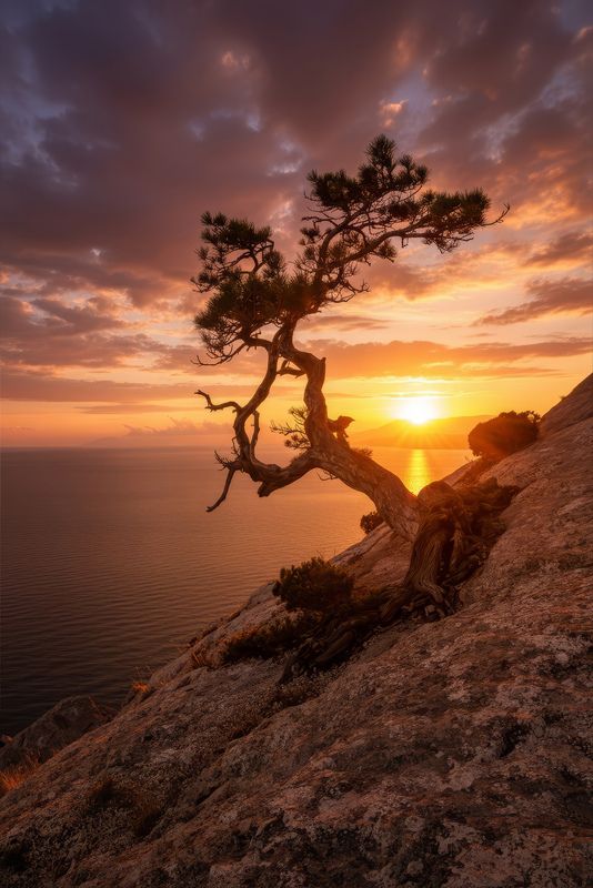 пик Космос, Новый Свет фото превью