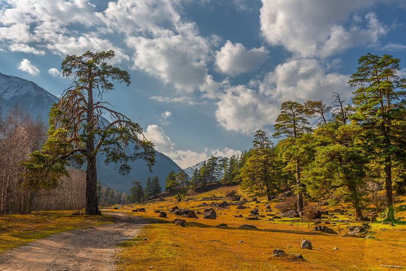 Ущелье Аксаут.КЧР. фото превью