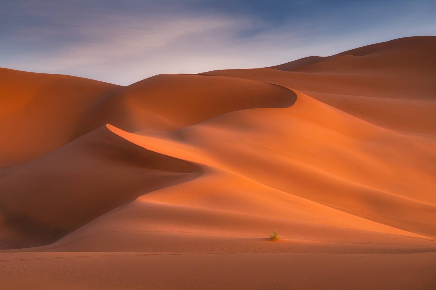 maroc, marocco, sahara desert, desert, sand, orange, light, марокко, пустыня, сахара, пейзаж, дюны, песок , Kaznov Stanislav