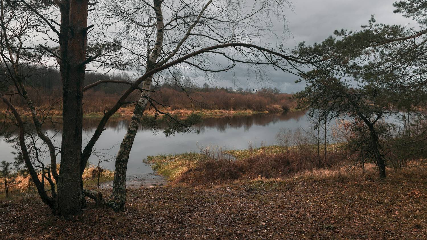 , Михаил Кушнер