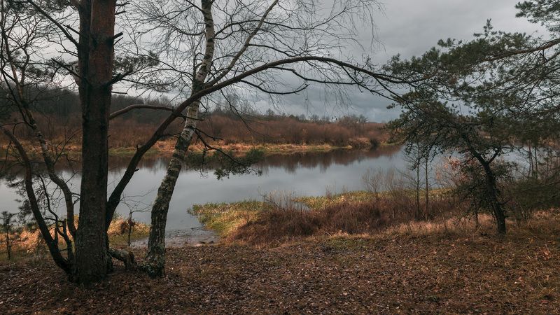 Ноябрь уж наступил фото превью