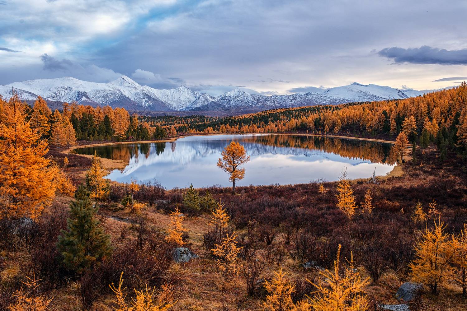, Бодрягин Виталий