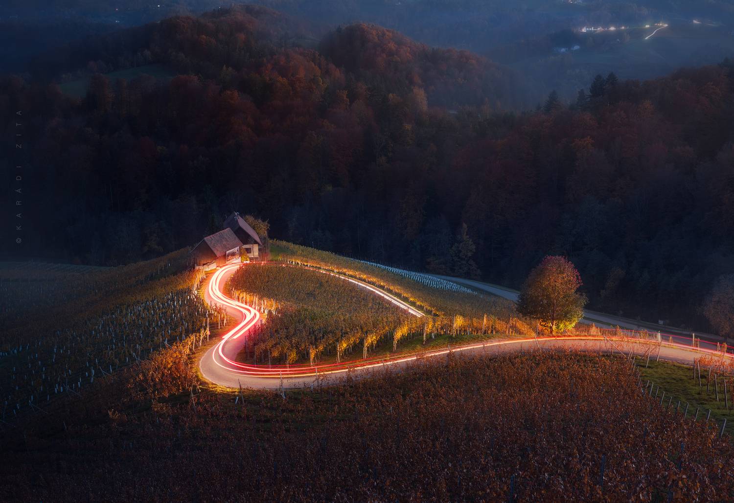 slovenia, landscape, sunset, trees, forest, wineyeard, vinary, hills, europe, hungarianphotographer, autumn, blue hour, longexpo, Kar&aacute;di Zita