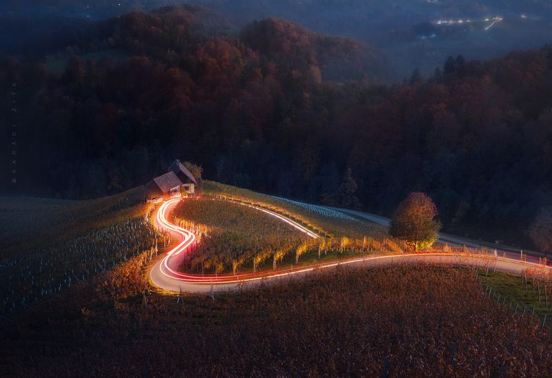 slovenia, landscape, sunset, trees, forest, wineyeard, vinary, hills, europe, hungarianphotographer, autumn, blue hour, longexpo sLOVEnia with all heart_2_BLUE Hour фото превью
