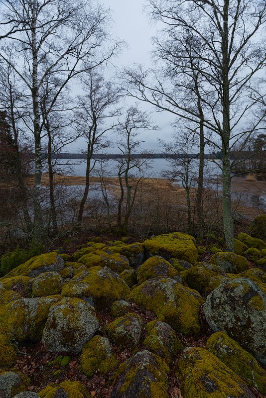 Тишина фото превью