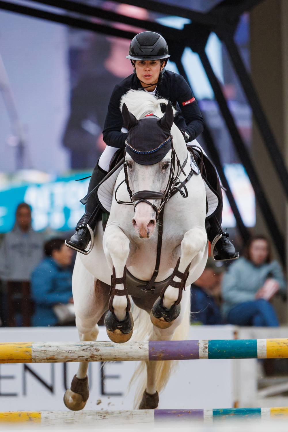 конкур, спорт, спортивный фотограф, Юрий Ломакин