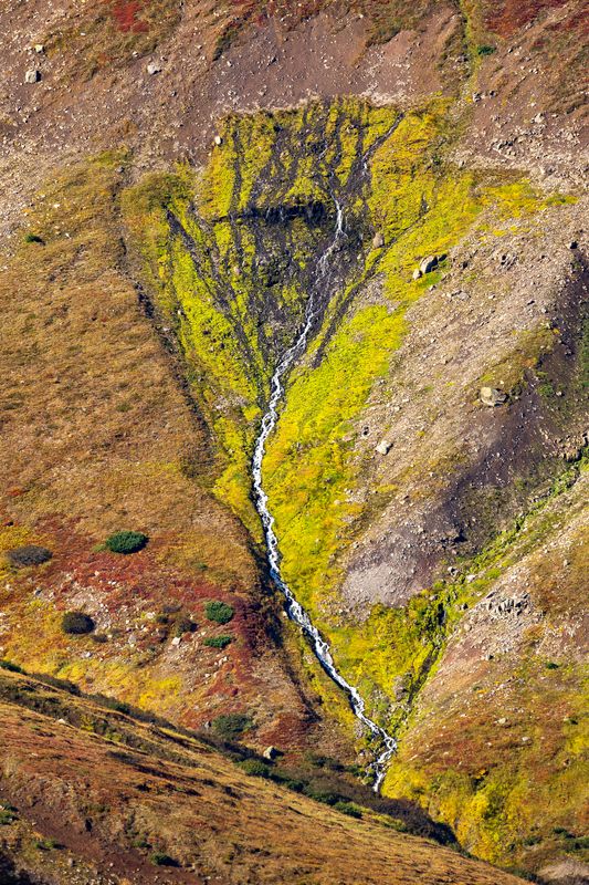 водопад, камчатка, горы, вода Дерево жизни.. фото превью