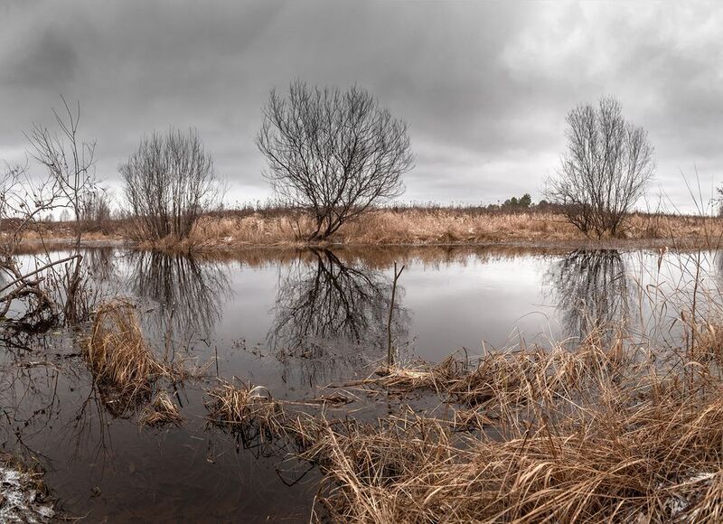 речка , трава, кустарник, отражение, пасмурно, осень. На сонной речке. фото превью