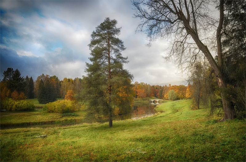 Осень золотая фото превью