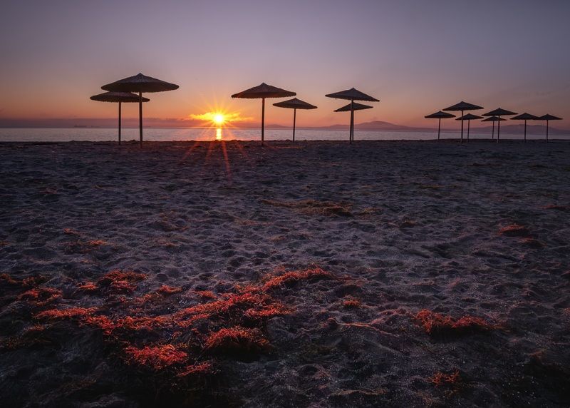 Sunrise фото превью