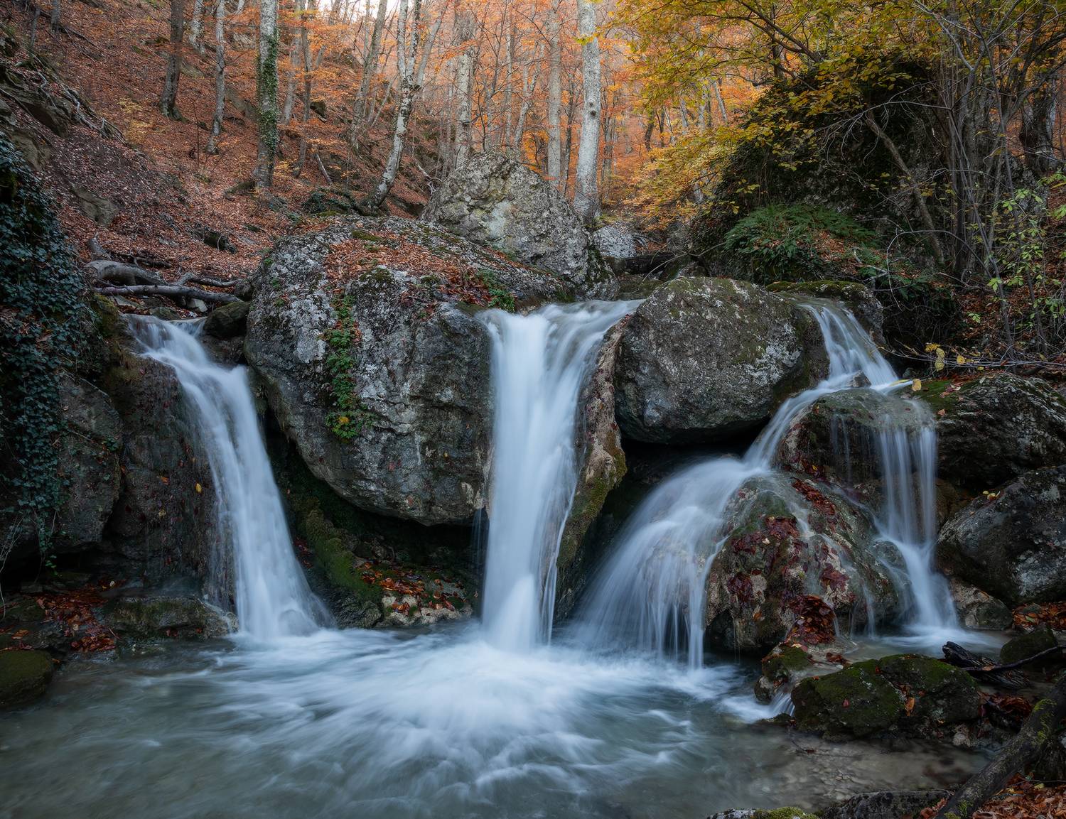 , Михаил Гапонов
