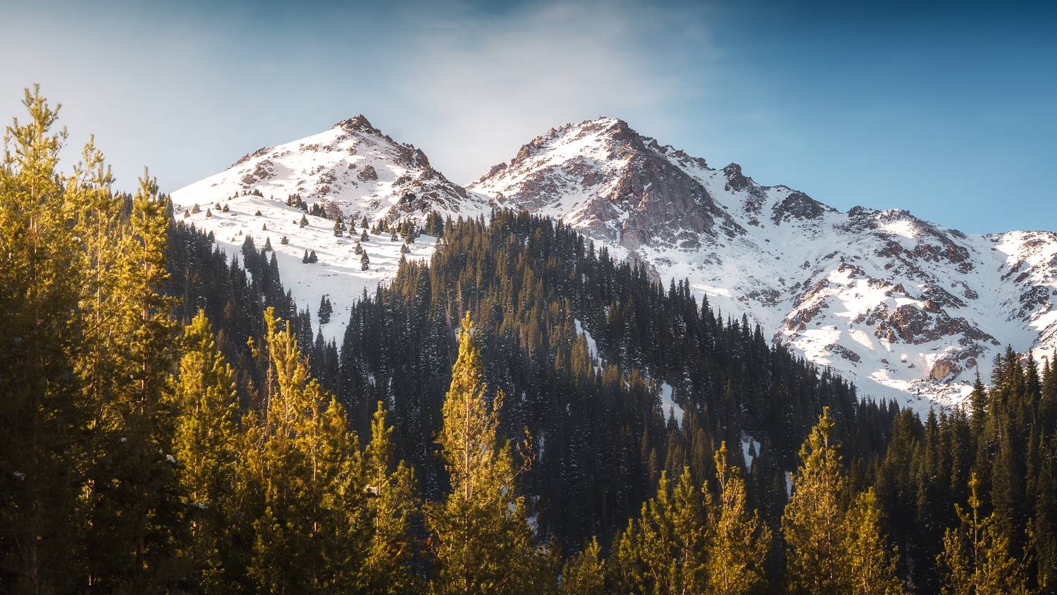 , Купчиков Илья