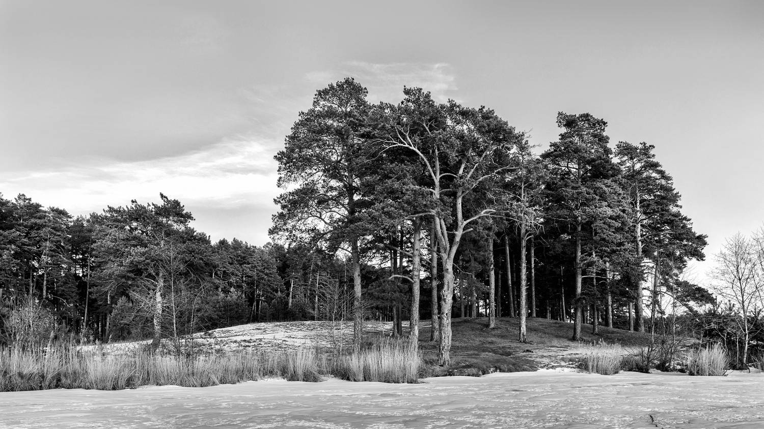 , Ушаков Валерий