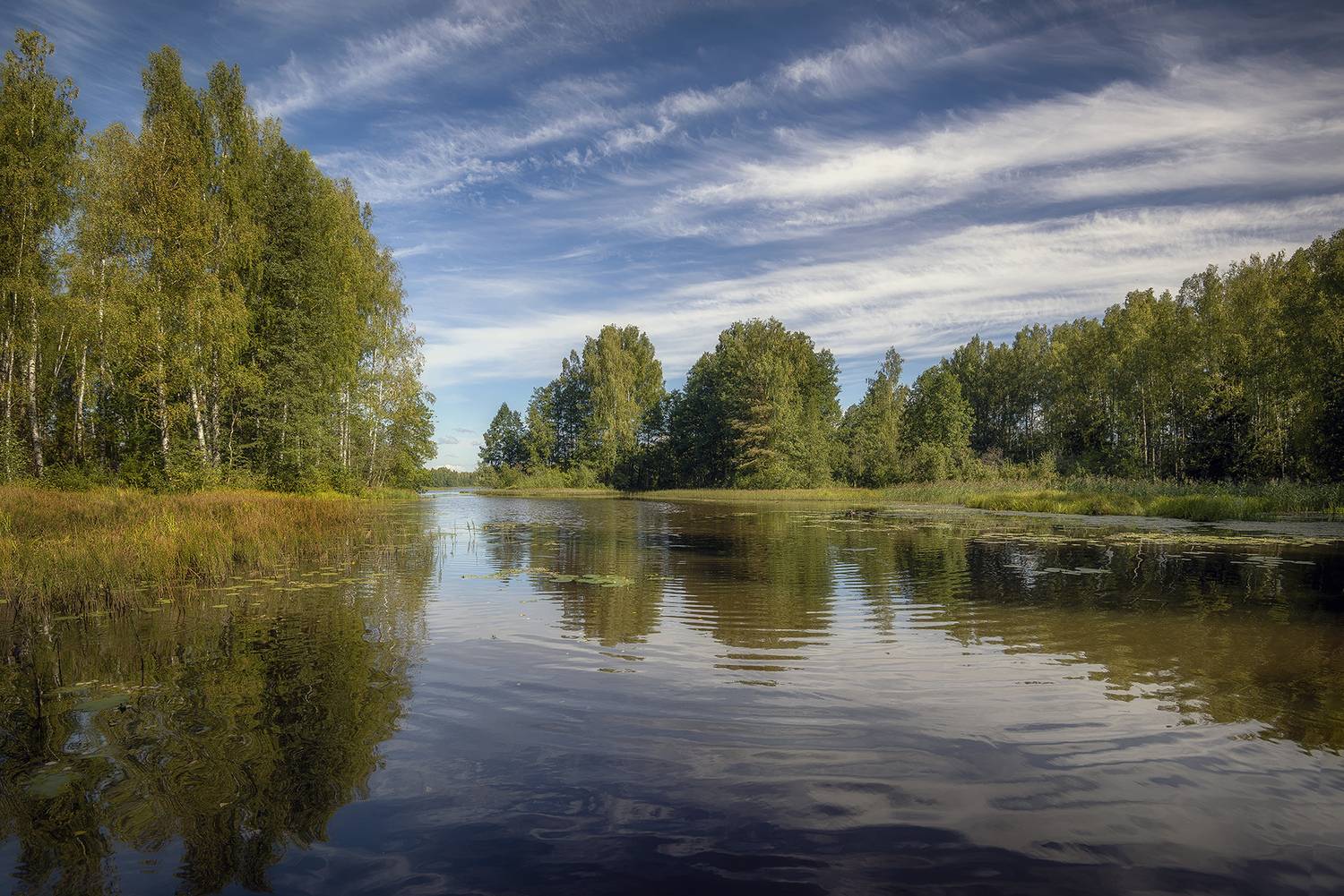 , Сергей Аникин