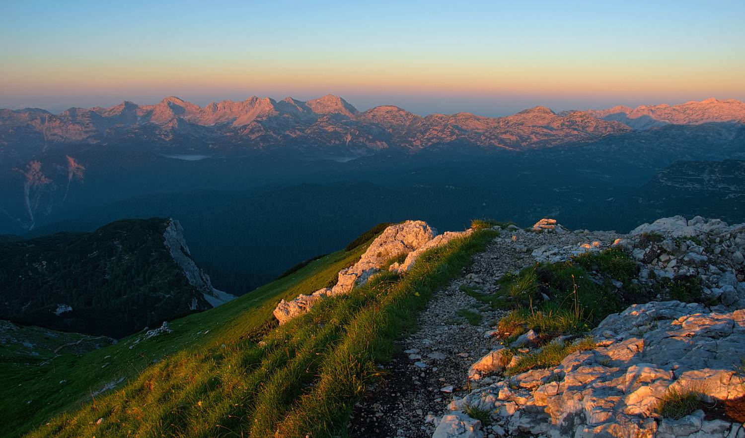 , Wojciech Tarnowski