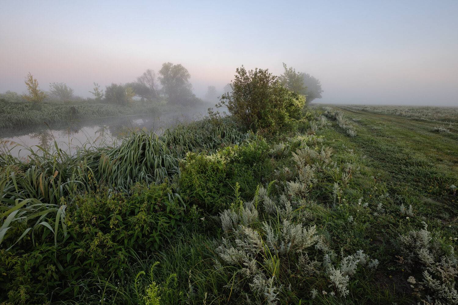 , Александр Бредихин