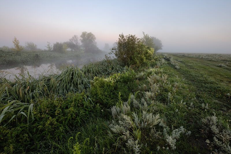 Август в тумане. фото превью