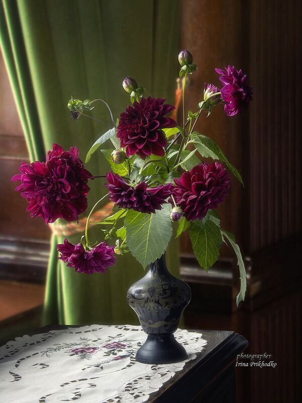 Осенние георгины фото превью