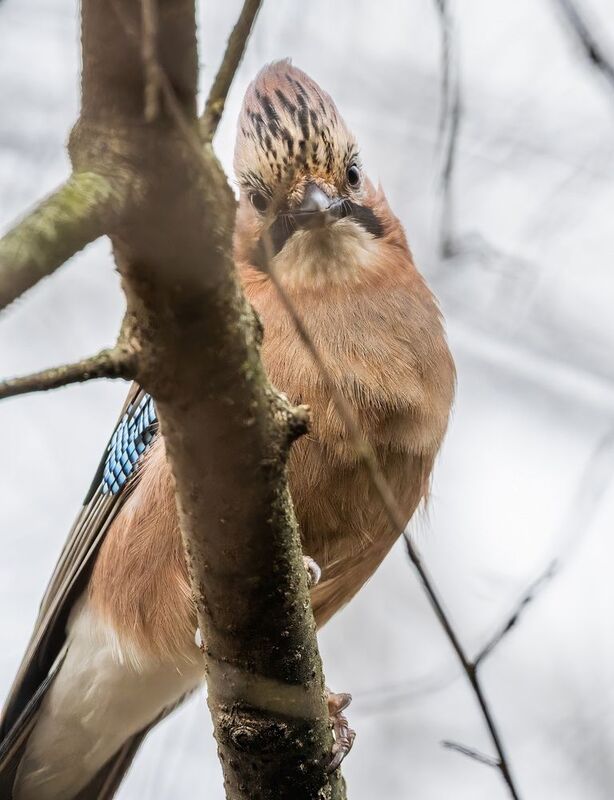 Эти глаза на против фото превью