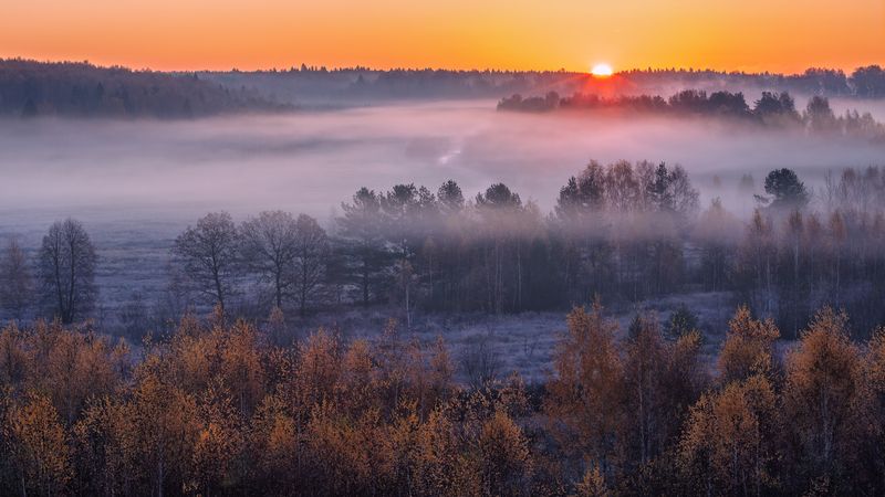 * фото превью