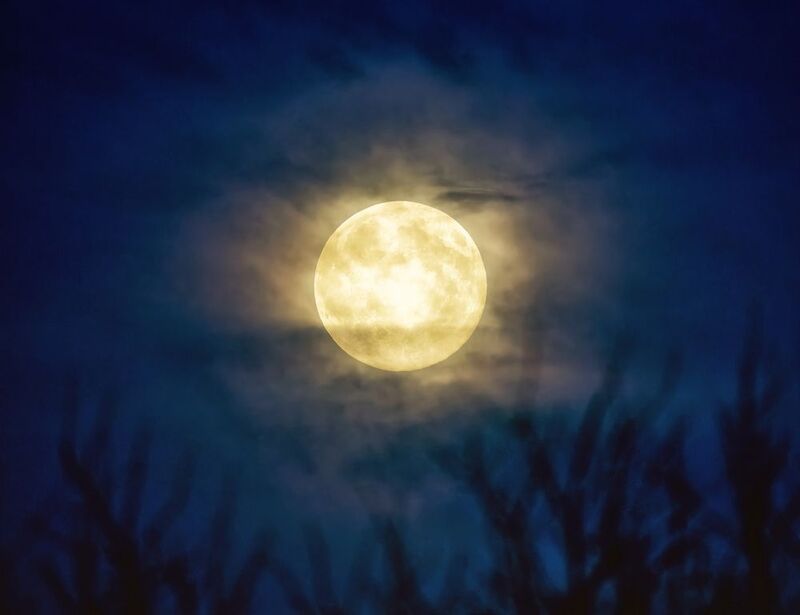 Полная фото превью