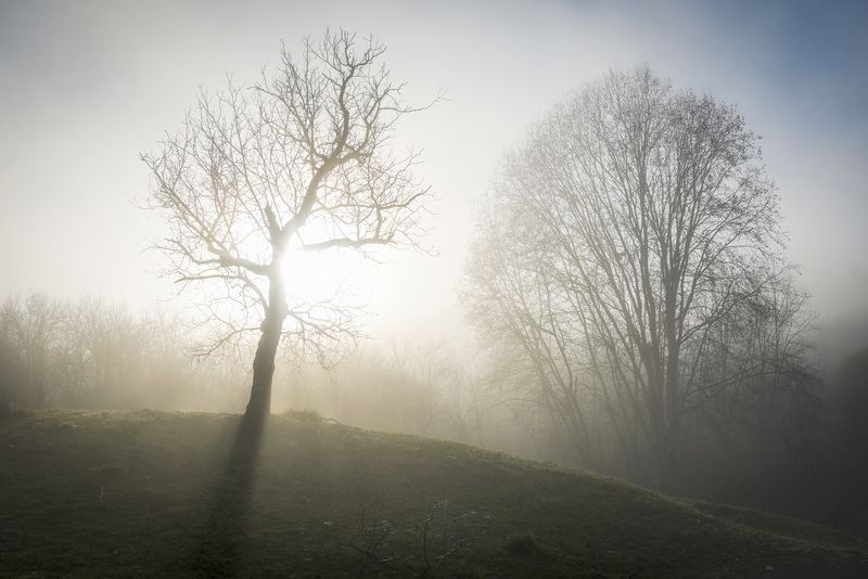 2025 фото превью