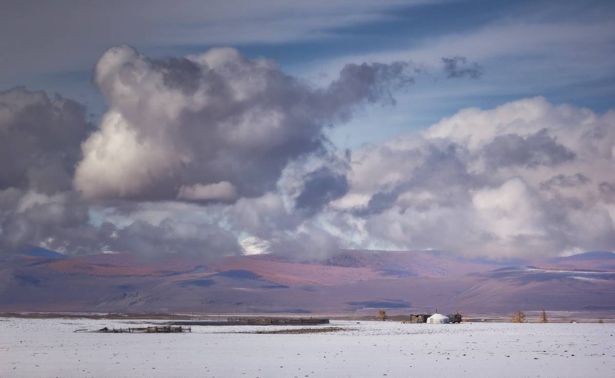 , Трофимов Алексей