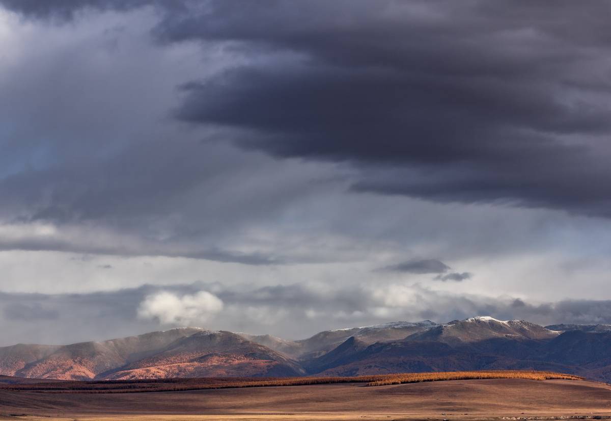 , Трофимов Алексей