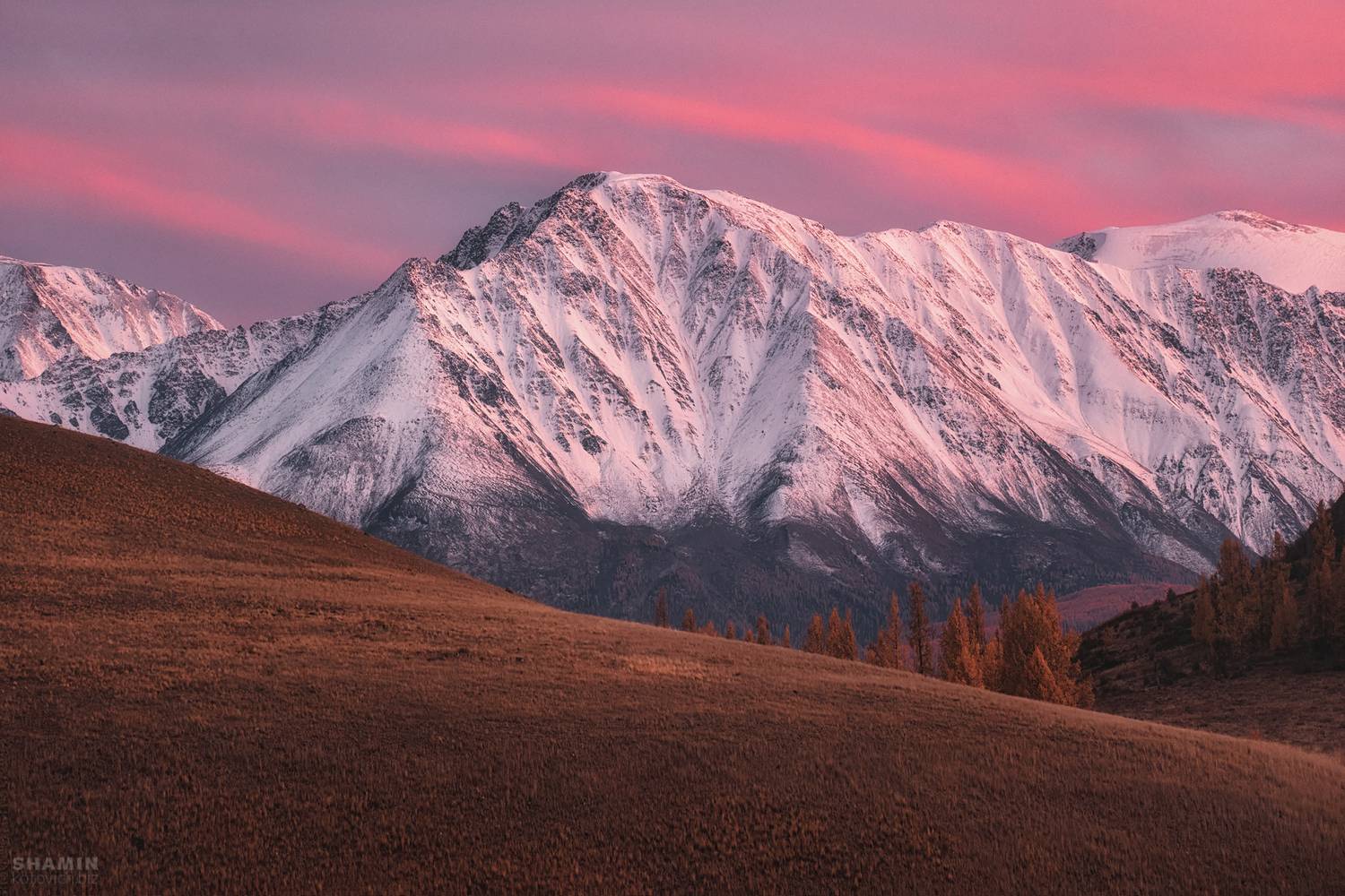 , Константин Шамин
