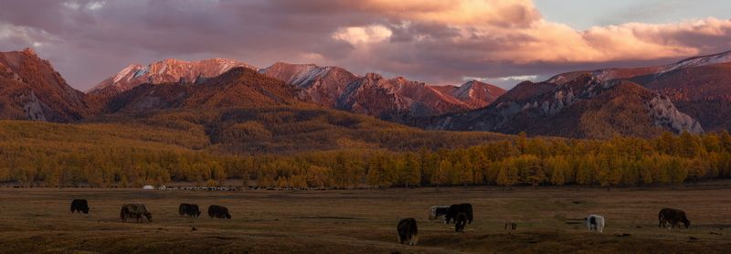 Худэрэнтийн нуруу фото превью
