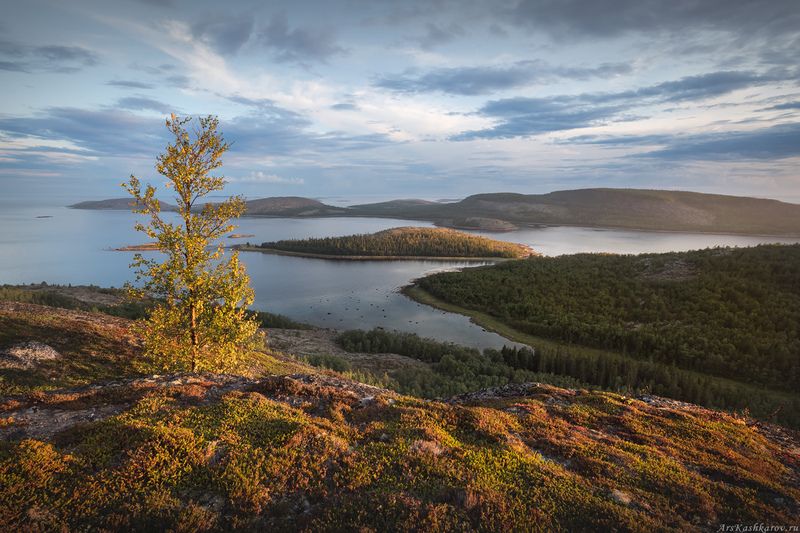 острова, кузова, карелия, белое море, архипелаг, соловки, сопки, сельги, шхеры, кемь Кончается северное лето фото превью