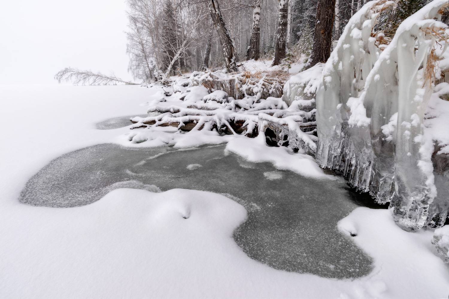 , Обухов Николай