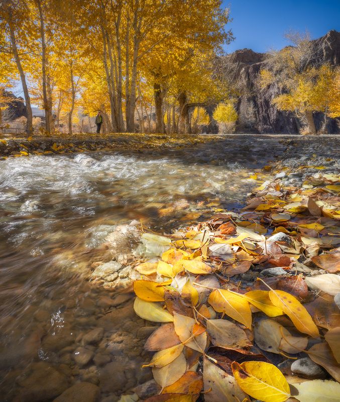 Краски Алтайской осени. фото превью