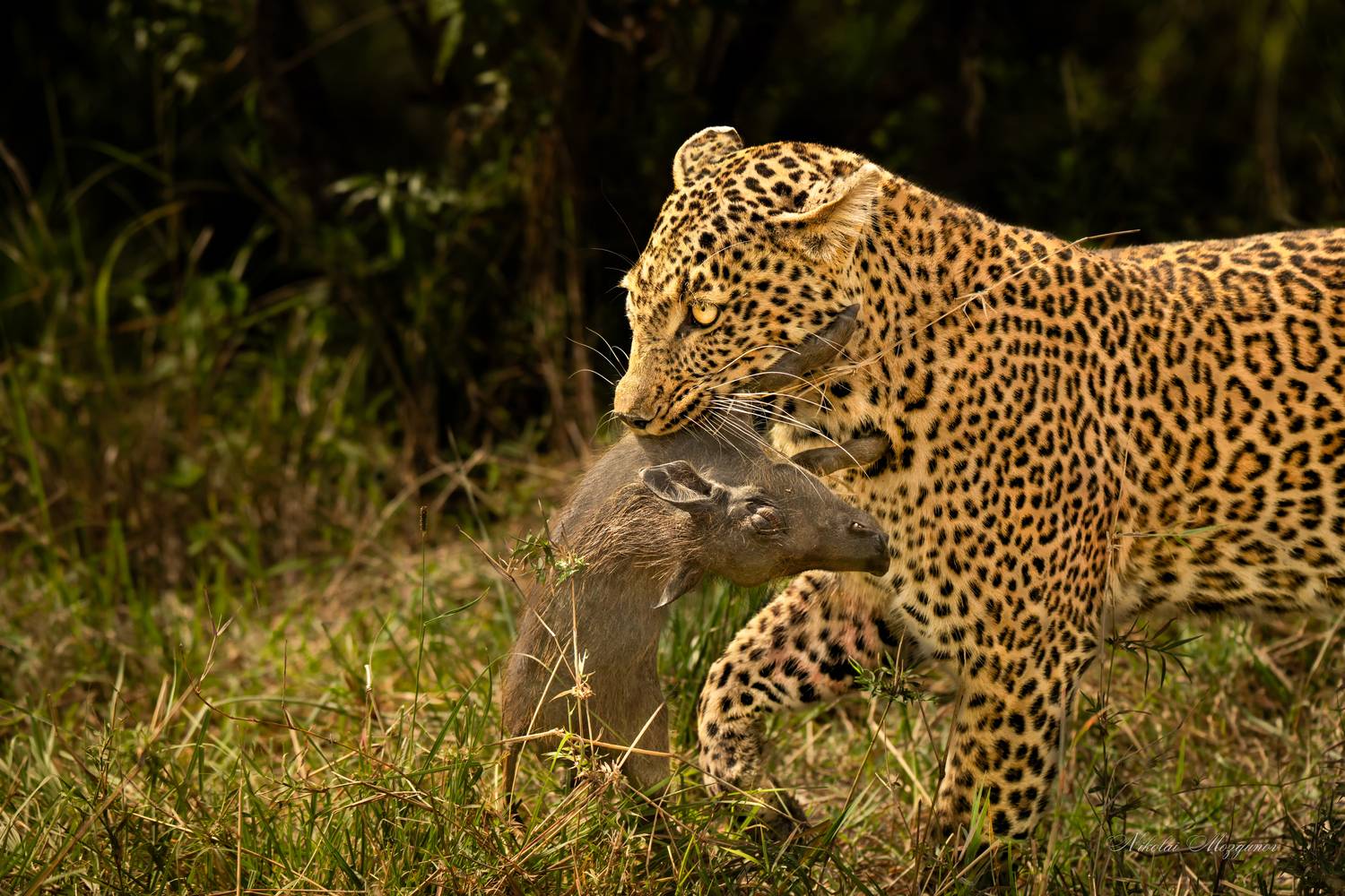 , Николай Мозгунов