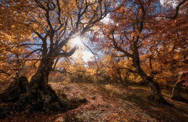 *** фото превью